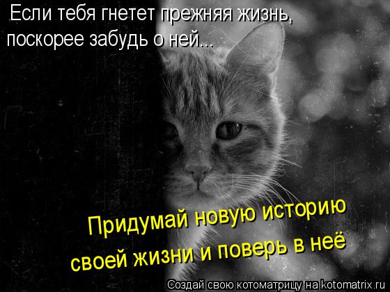 Если тебя гнетет прежняя жизнь, поскорее забудь о ней... Придумай новую историю своей жизни и пове... Котоматрица: Если тебя гнетет прежняя жизнь, поскорее забудь о ней... Придумай новую историю своей жизни и поверь в неё