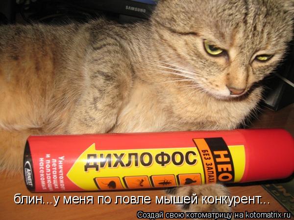 Котоматрица: блин...у меня по ловле мышей конкурент...