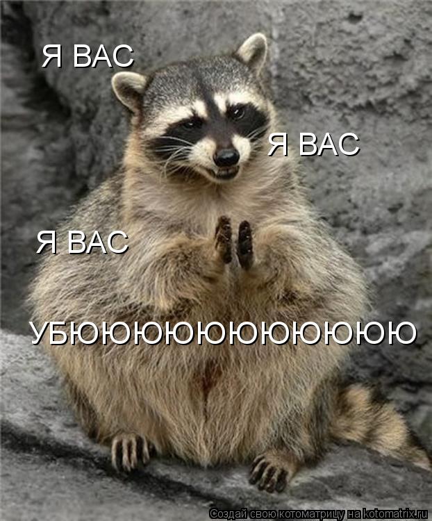 Я ВАС Я ВАС Я ВАС УБЮЮЮЮЮЮЮЮЮЮЮ... Котоматрица: Я ВАС Я ВАС Я ВАС УБЮЮЮЮЮЮЮЮЮЮЮ