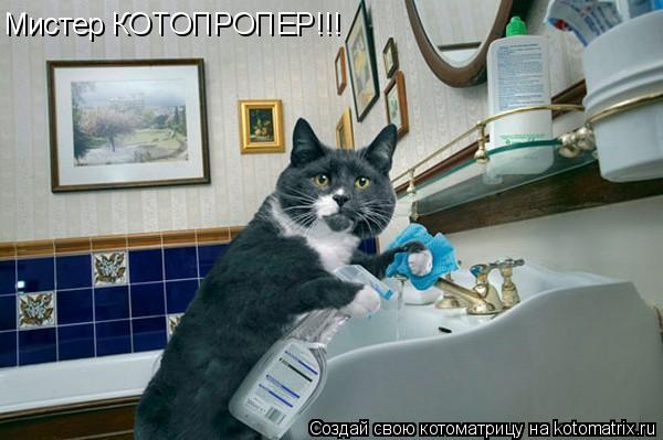 Мистер КОТОПРОПЕР!!!... Котоматрица: Мистер КОТОПРОПЕР!!!