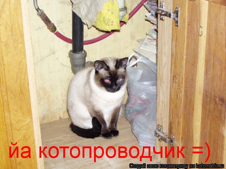 йа котопроводчик =)... Котоматрица: йа котопроводчик =)
