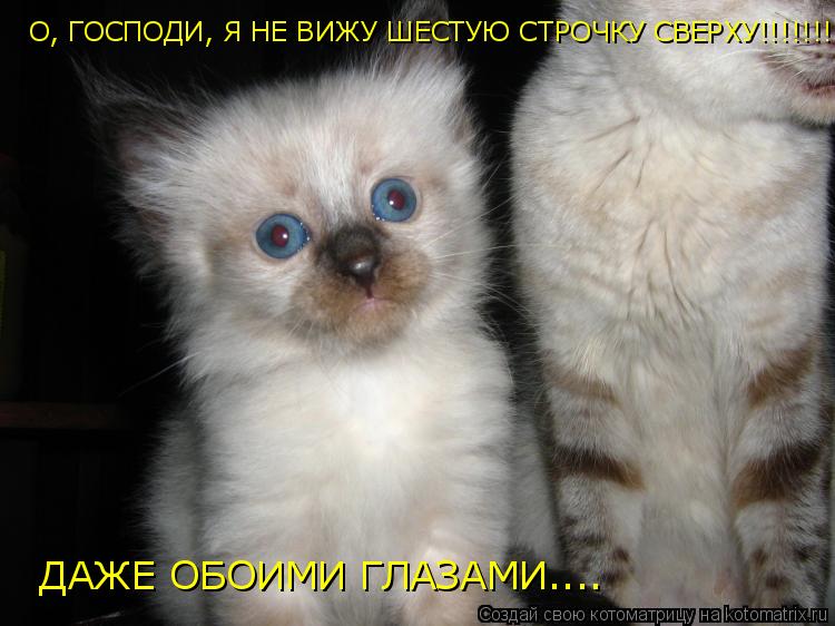 О, ГОСПОДИ, Я НЕ ВИЖУ ШЕСТУЮ СТРОЧКУ СВЕРХУ!!!!!!! ДАЖЕ ОБОИМИ ГЛАЗАМИ.... ДАЖЕ ОБОИМИ ГЛАЗАМИ....... Котоматрица: О, ГОСПОДИ, Я НЕ ВИЖУ ШЕСТУЮ СТРОЧКУ СВЕРХУ!!!!!!! ДАЖЕ ОБОИМИ ГЛАЗАМИ.... ДАЖЕ ОБОИМИ ГЛАЗАМИ....