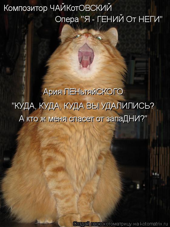 Котоматрица: Композитор ЧАЙКотОВСКИЙ Опера "Я - ГЕНИЙ От НЕГИ" Ария ЛЕНьтяйСКОГО "КУДА, КУДА, КУДА ВЫ УДАЛИЛИСЬ? А кто ж меня спасет от запаДНИ?"