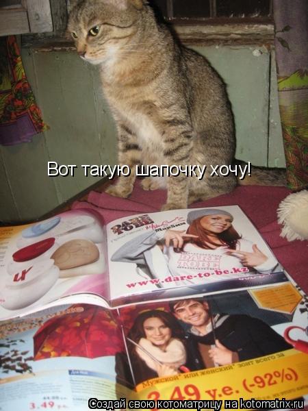 Вот такую шапочку хочу!... Котоматрица: Вот такую шапочку хочу!