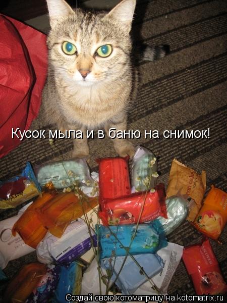 Кусок мыла и в баню на снимок!... Котоматрица: Кусок мыла и в баню на снимок!