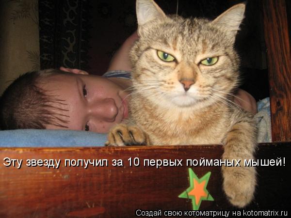 Эту звезду получил за 10 первых пойманых мышей!... Котоматрица: Эту звезду получил за 10 первых пойманых мышей!