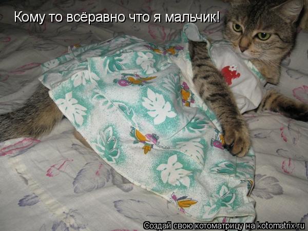 Кому то всёравно что я мальчик!... Котоматрица: Кому то всёравно что я мальчик!
