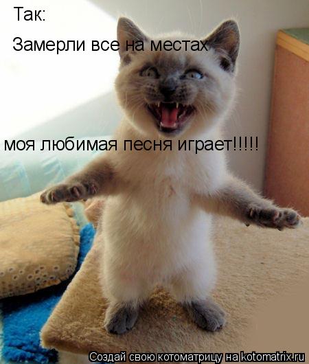 Так: Замерли все на местах моя любимая песня играет!!!!!... Котоматрица: Так: Замерли все на местах моя любимая песня играет!!!!!