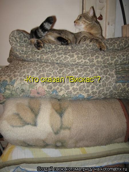 -Кто сказал "Вискас"?... Котоматрица: -Кто сказал "Вискас"?