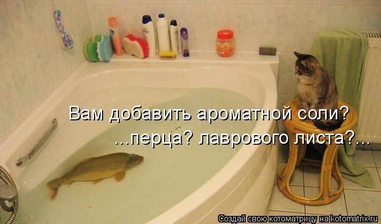 Вам добавить ароматной соли? ...перца? лаврового листа?...... Котоматрица: Вам добавить ароматной соли? ...перца? лаврового листа?...