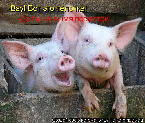 -Вау! Вот это тёлочка! -Да ты на вымя посмотри!... Котоматрица: -Вау! Вот это тёлочка! -Да ты на вымя посмотри!