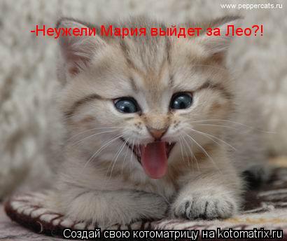 -Неужели Мария выйдет за Лео?!... Котоматрица: -Неужели Мария выйдет за Лео?!