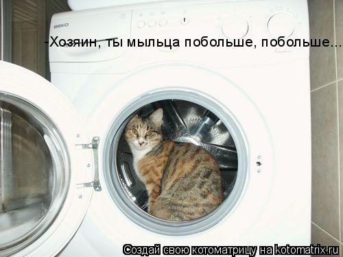 -Хозяин, ты мыльца побольше, побольше...... Котоматрица: -Хозяин, ты мыльца побольше, побольше...