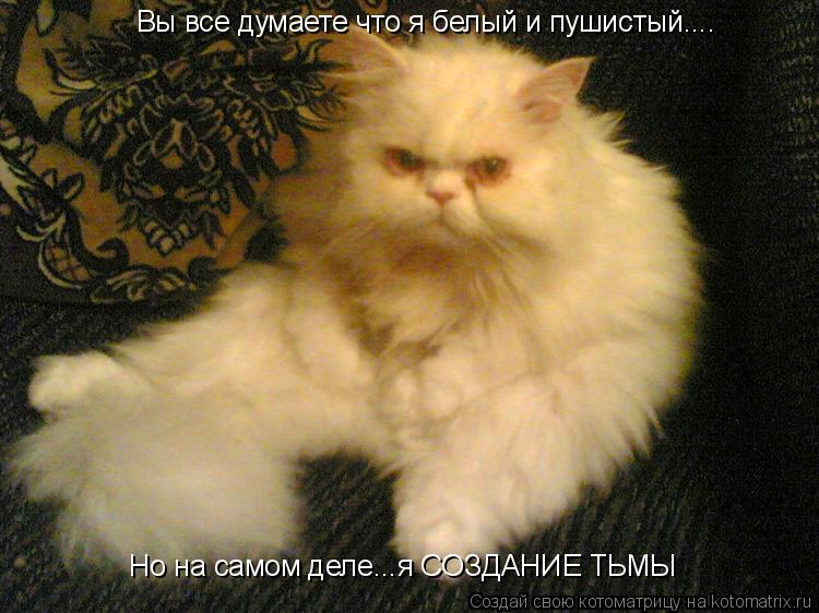 Вы все думаете что я белый и пушистый.... Но на самом деле...я СОЗДАНИЕ ТЬМЫ... Котоматрица: Вы все думаете что я белый и пушистый.... Но на самом деле...я СОЗДАНИЕ ТЬМЫ