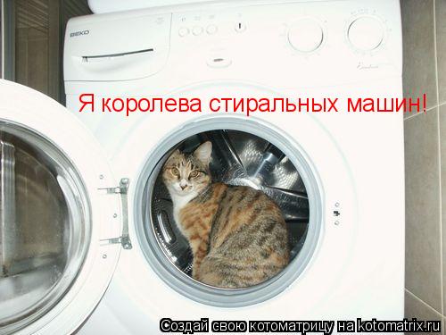 Я королева стиральных машин!... Котоматрица: Я королева стиральных машин!