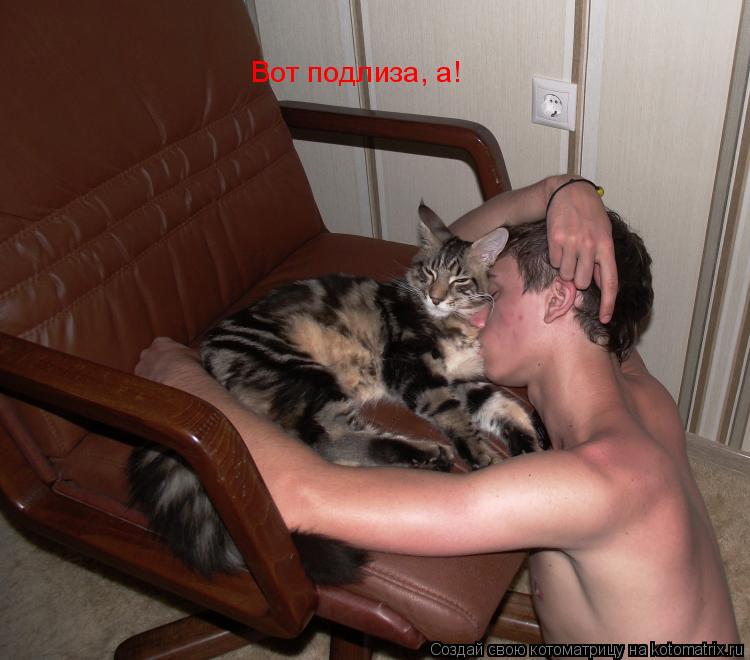 Вот подлиза, а!... Котоматрица: Вот подлиза, а!