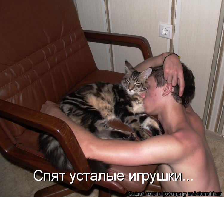 Спят усталые игрушки...... Котоматрица: Спят усталые игрушки...