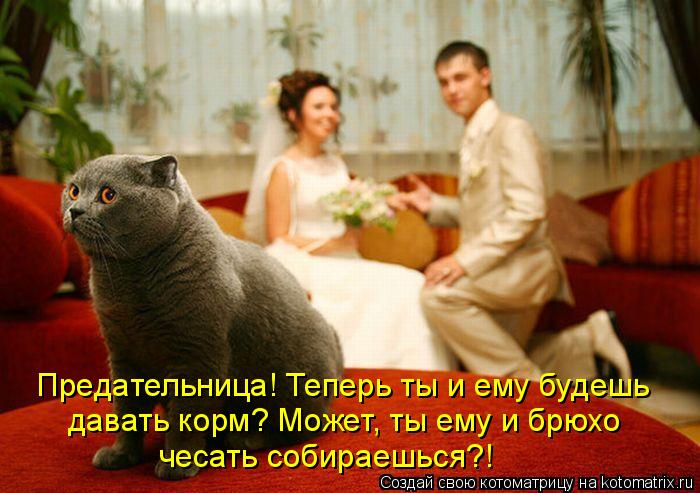 Предательница! Теперь ты и ему будешь давать корм? Может, ты ему и брюхо чесать собираешься?!... Котоматрица: Предательница! Теперь ты и ему будешь давать корм? Может, ты ему и брюхо чесать собираешься?!