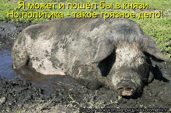 Я может и пошёл бы в князи. Но политика - такое грязное дело!... Котоматрица: Я может и пошёл бы в князи. Но политика - такое грязное дело!
