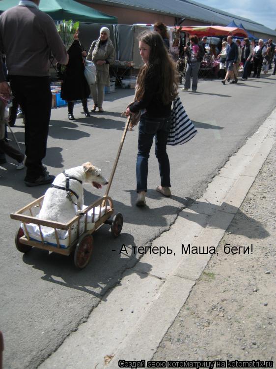 - А теперь, Маша, беги!... Котоматрица: - А теперь, Маша, беги!