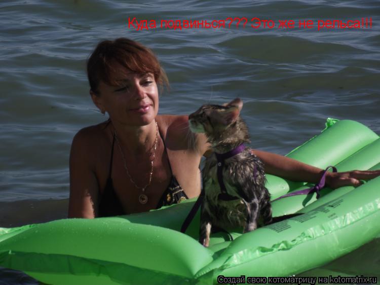 Куда подвинься??? Это же не рельса!!!... Котоматрица: Куда подвинься??? Это же не рельса!!!