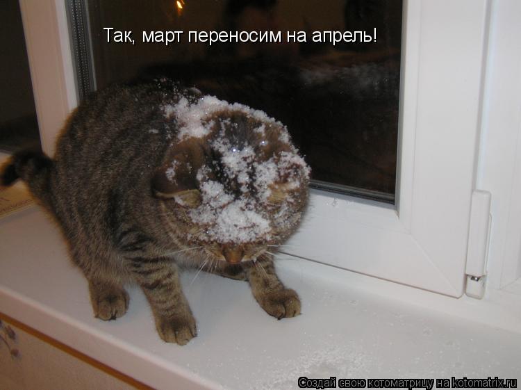 Так, март переносим на апрель!... Котоматрица: Так, март переносим на апрель!