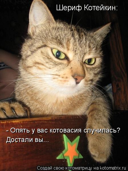 Шериф Котейкин: - Опять у вас котовасия случилась? Достали вы...... Котоматрица: Шериф Котейкин: - Опять у вас котовасия случилась? Достали вы...