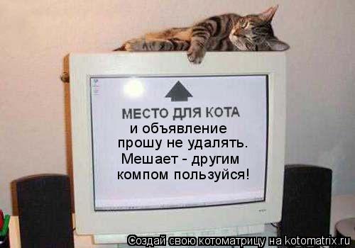 и объявление прошу не удалять. Мешает - другим компом пользуйся!... Котоматрица: и объявление прошу не удалять. Мешает - другим компом пользуйся!
