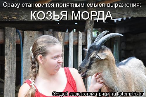 Сразу становится понятным смысл выражения: КОЗЬЯ МОРДА... Котоматрица: Сразу становится понятным смысл выражения: КОЗЬЯ МОРДА
