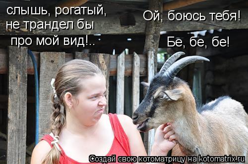 слышь, рогатый, Ой, боюсь тебя! Бе, бе, бе! не трандел бы про мой вид!..... Котоматрица: слышь, рогатый, Ой, боюсь тебя! Бе, бе, бе! не трандел бы про мой вид!..
