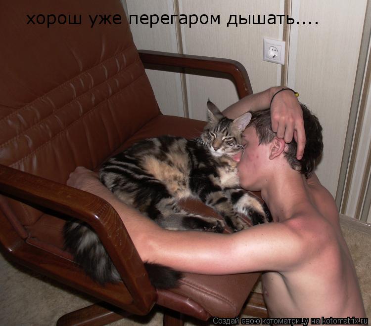 хорош уже перегаром дышать....... Котоматрица: хорош уже перегаром дышать....