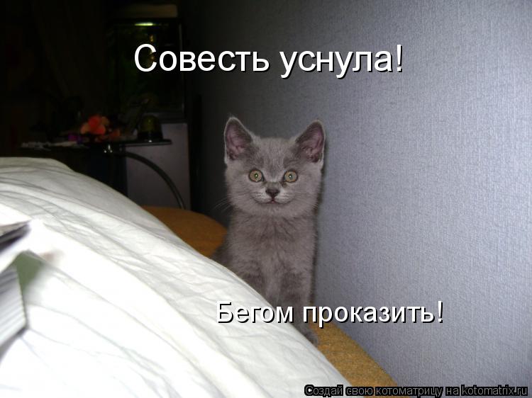Совесть уснула! Бегом проказить!... Котоматрица: Совесть уснула! Бегом проказить!
