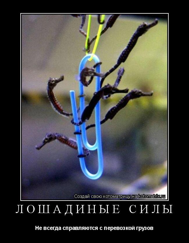 ЛОШАДИНЫЕ СИЛЫ Не всегда справляются с перевозкой грузов... Котоматрица: ЛОШАДИНЫЕ СИЛЫ Не всегда справляются с перевозкой грузов