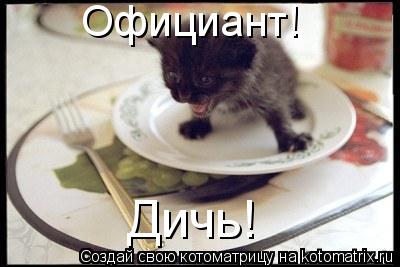Официант! Дичь!... Котоматрица: Официант! Дичь!