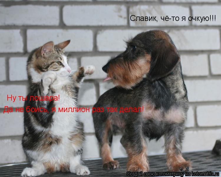 Славик, чё-то я очкую!!! Ну ты лошара! Да не боись, я миллион раз так делал!... Котоматрица: Славик, чё-то я очкую!!! Ну ты лошара! Да не боись, я миллион раз так делал!