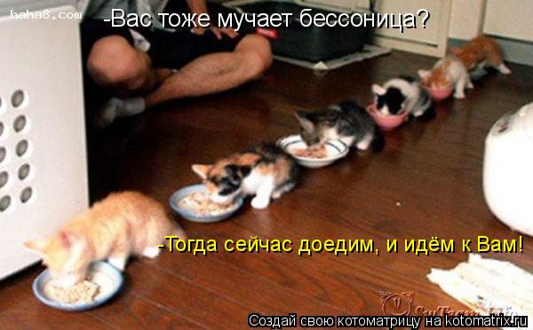 -Вас тоже мучает бессоница? -Тогда сейчас доедим, и идём к Вам!... Котоматрица: -Вас тоже мучает бессоница? -Тогда сейчас доедим, и идём к Вам!