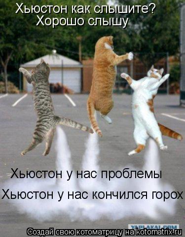 Хьюстон как слышите? Хорошо слышу Хьюстон у нас проблемы Хьюстон у нас кончился горох... Котоматрица: Хьюстон как слышите? Хорошо слышу Хьюстон у нас проблемы Хьюстон у нас кончился горох