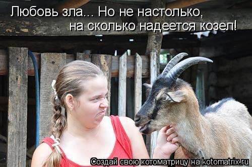 Любовь зла... Но не настолько, на сколько надеется козел!... Котоматрица: Любовь зла... Но не настолько, на сколько надеется козел!