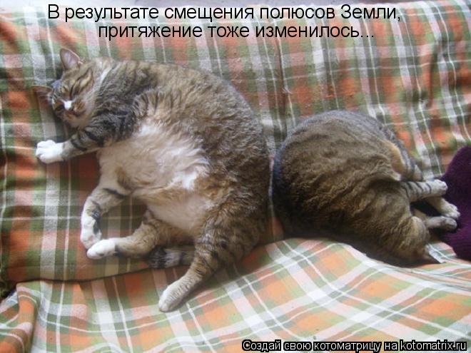 В результате смещения полюсов Земли, притяжение тоже изменилось...... Котоматрица: В результате смещения полюсов Земли, притяжение тоже изменилось...