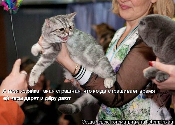 А твоя хозяйка такая страшная, что когда спрашивает время ей часы дарят и дёру дают ей часы дарят и ... Котоматрица: А твоя хозяйка такая страшная, что когда спрашивает время ей часы дарят и дёру дают ей часы дарят и дёру дают