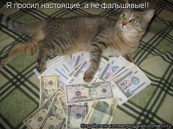 -Я просил настоящие, а не фальшивые!!... Котоматрица: -Я просил настоящие, а не фальшивые!!