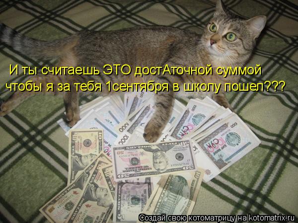 И ты считаешь ЭТО достАточной суммой чтобы я за тебя 1сентября в школу пошел???... Котоматрица: И ты считаешь ЭТО достАточной суммой чтобы я за тебя 1сентября в школу пошел???