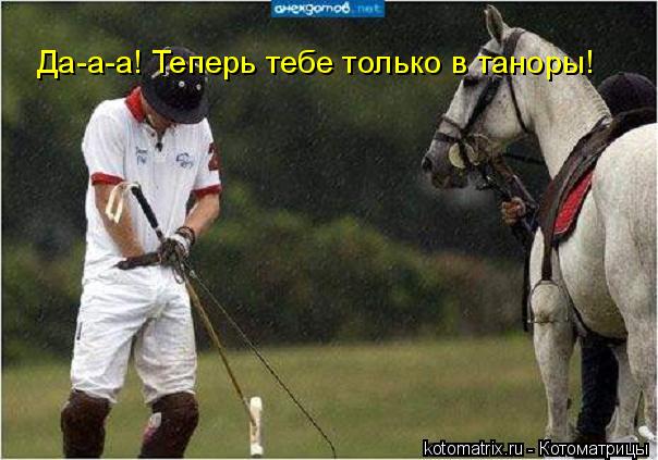 Да-а-а! Теперь тебе только в таноры!... Котоматрица: Да-а-а! Теперь тебе только в таноры!