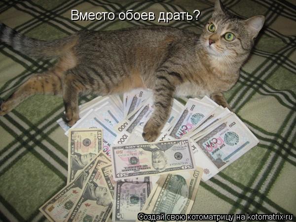 Вместо обоев драть?... Котоматрица: Вместо обоев драть?