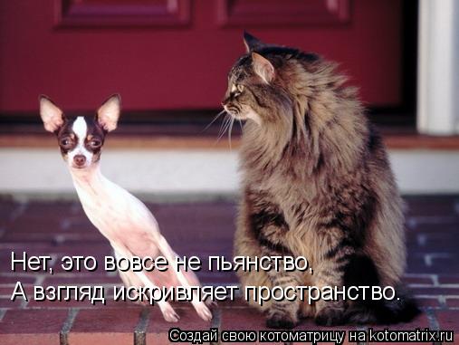 А взгляд искривляет пространство. Нет, это вовсе не пьянство,... Котоматрица: А взгляд искривляет пространство. Нет, это вовсе не пьянство,
