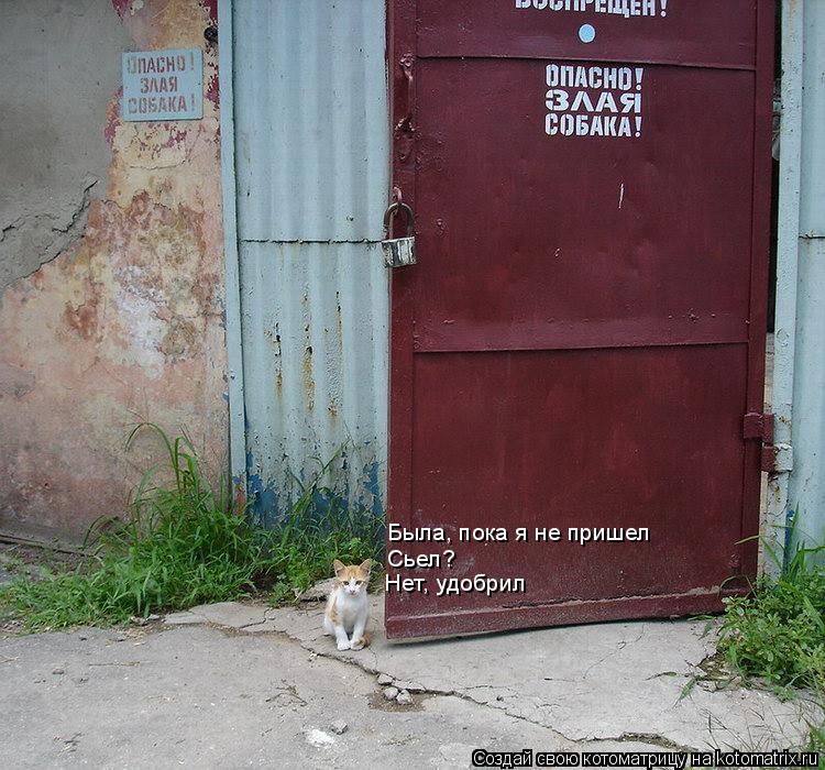 Была, пока я не пришел Сьел? Нет, удобрил... Котоматрица: Была, пока я не пришел Сьел? Нет, удобрил