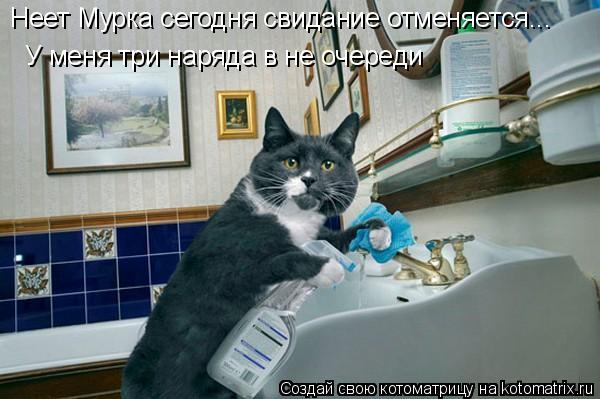 Неет Мурка сегодня свидание отменяется... У меня три наряда в не очереди... Котоматрица: Неет Мурка сегодня свидание отменяется... У меня три наряда в не очереди
