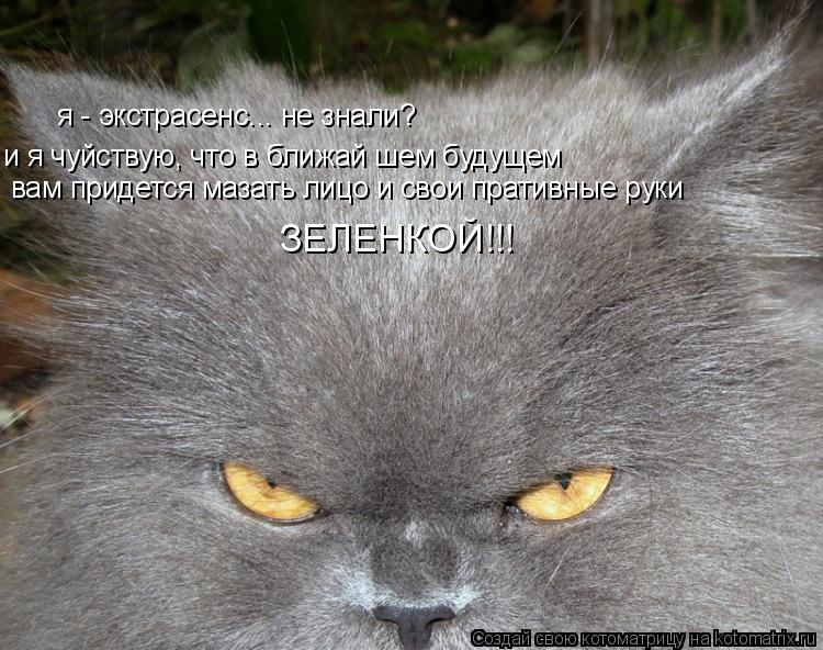 я - экстрасенс... не знали? и я чуйствую, что в ближай шем будущем вам придется мазать лицо и свои пр... Котоматрица: я - экстрасенс... не знали? и я чуйствую, что в ближай шем будущем вам придется мазать лицо и свои пративные руки ЗЕЛЕНКОЙ!!!