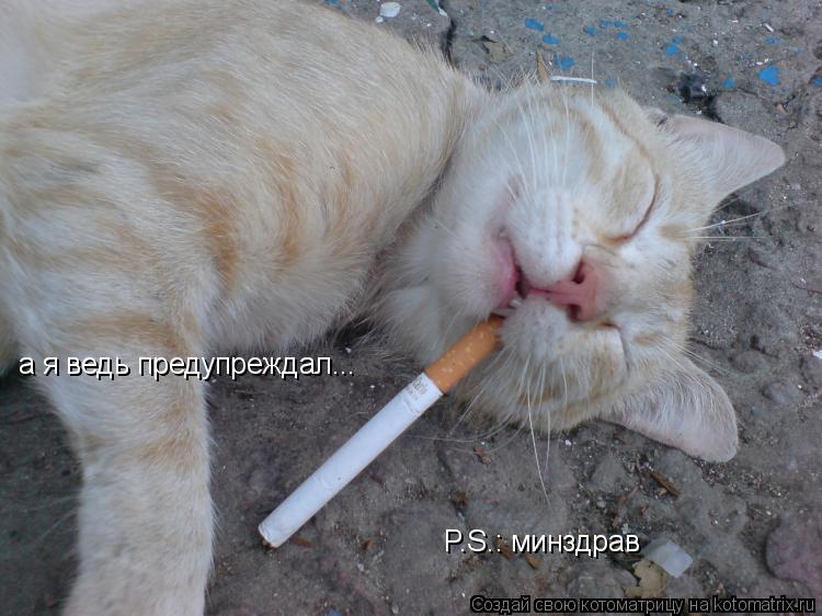 а я ведь предупреждал... P.S.: минздрав... Котоматрица: а я ведь предупреждал... P.S.: минздрав