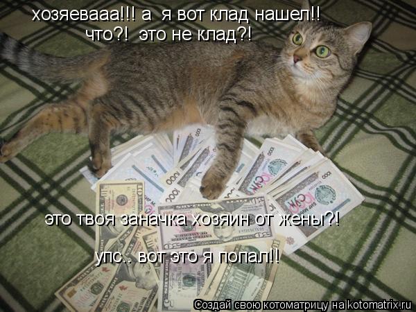 хозяевааа!!! а я вот клад нашел!! что?! это не клад?! это твоя заначка хозяин от жены?! упс.. вот... Котоматрица: хозяевааа!!! а я вот клад нашел!! что?! это не клад?! это твоя заначка хозяин от жены?! упс.. вот это я попал!!